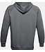 Under Armour Sport Under Armour Rival Fleece Hoodie Pitch grey