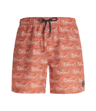 Protest Heren Prtterton beachshort Zwembroek Clay