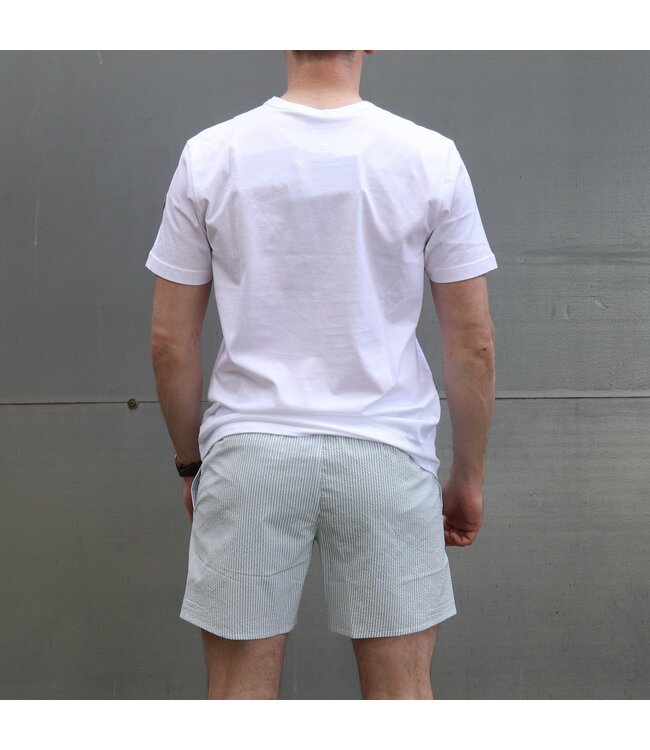 Colmar Colmar Uomo Zwembroek Stripe Polvere Blue/Bianco