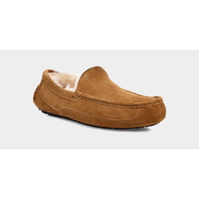 UGG Heren Ascot Chestnut