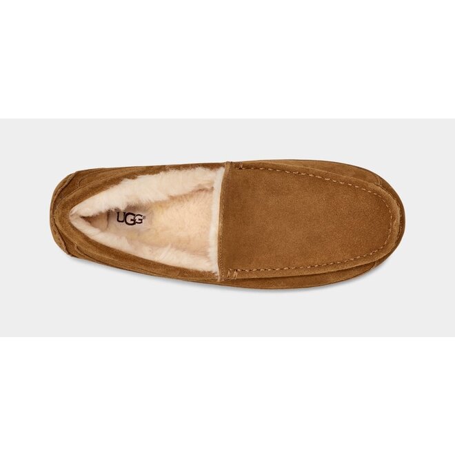 UGG Heren Ascot Chestnut