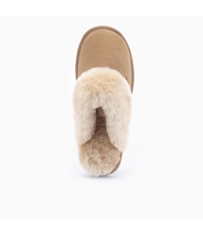 Warmbat Warmbat Flurry Kids Suede Camel
