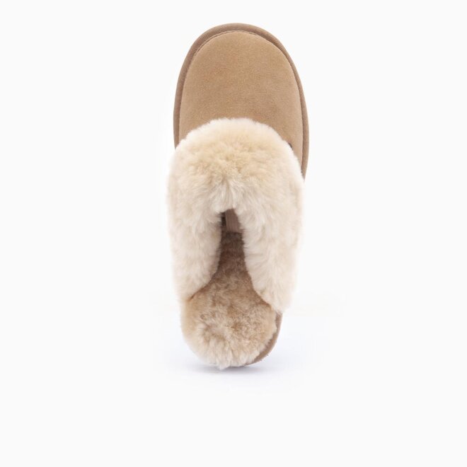 Warmbat Flurry Kids Suede Camel