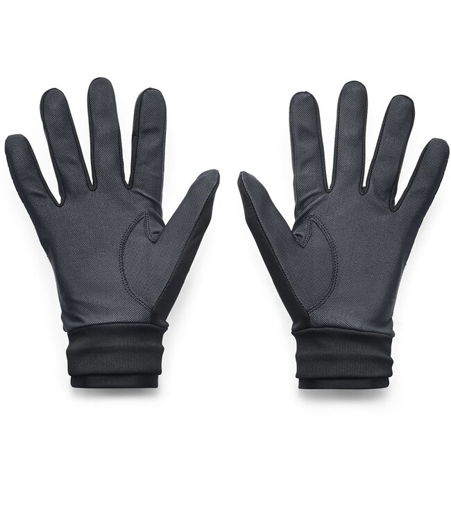 Under Armour Golf Under Armour Heren CGI Golf Glove Black/Gray