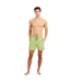 Protest Heren Faster Swim Short Algae Green