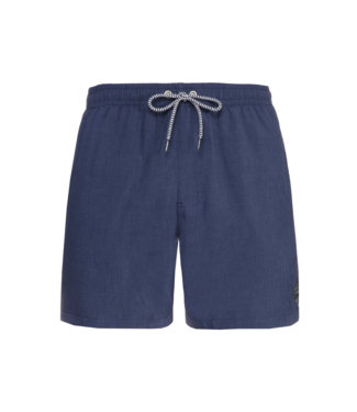 Protest Heren Davey Swim Short Ground Blue