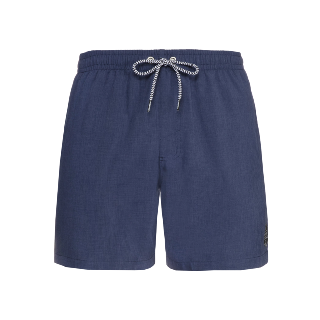 Protest Heren Davey Swim Short Ground Blue