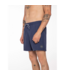 Protest Heren Davey Swim Short Ground Blue