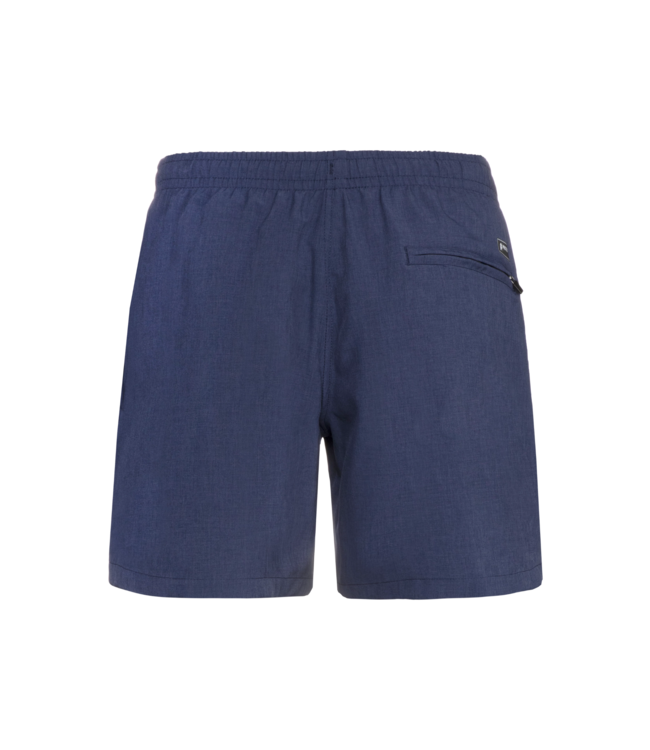 Protest Heren Davey Swim Short Ground Blue