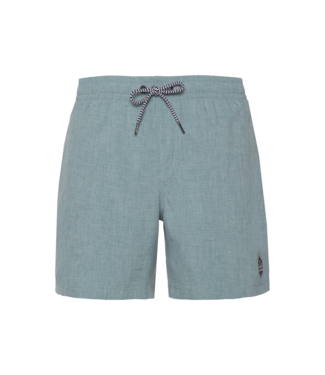 Protest Heren Davey Swim Short Arctic Green