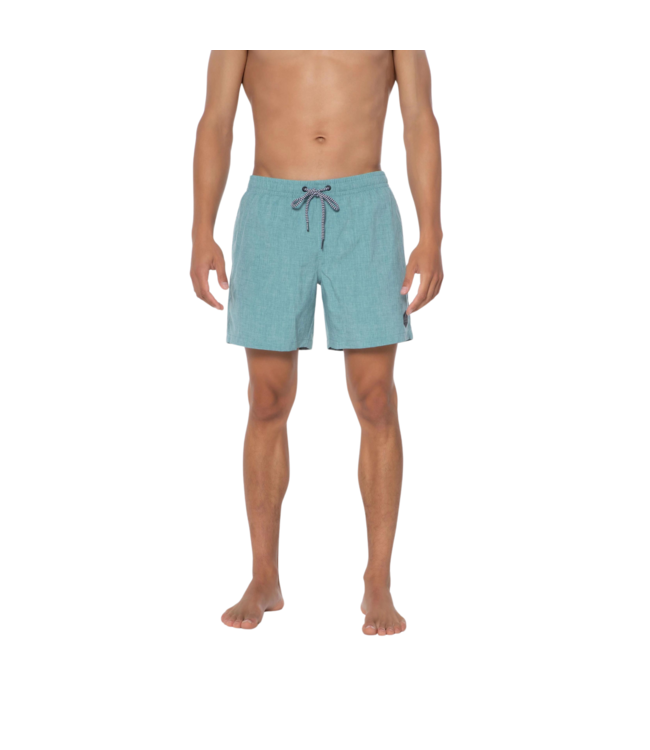 Protest Heren Davey Swim Short Arctic Green