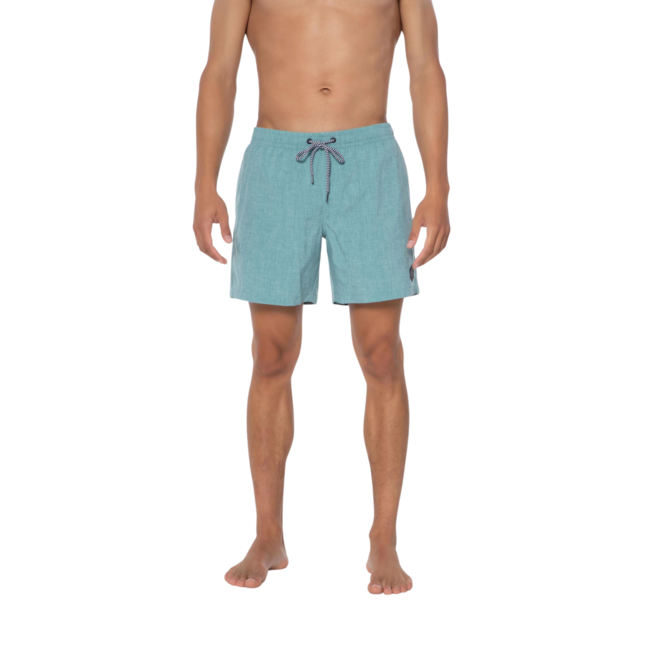 Protest Heren Davey Swim Short Arctic Green