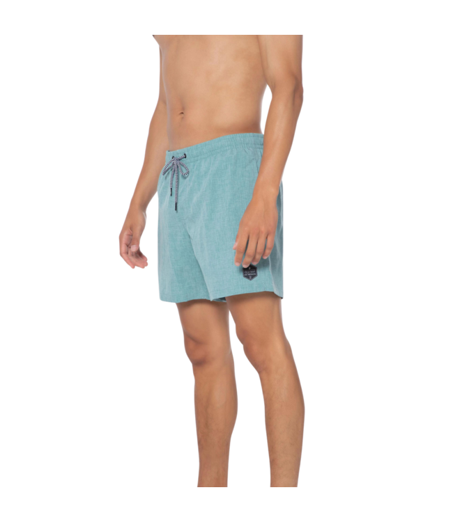 Protest Heren Davey Swim Short Arctic Green