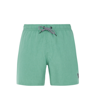 Protest Heren Davey Swim Short Frosty Green