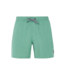 Protest Heren Davey Swim Short Frosty Green