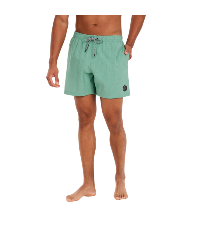 Protest Heren Davey Swim Short Frosty Green