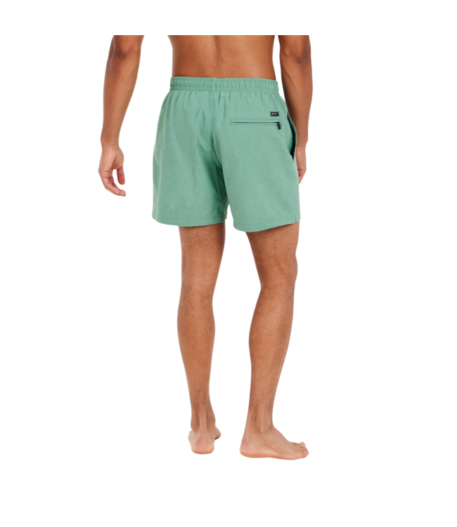Protest Heren Davey Swim Short Frosty Green