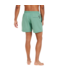 Protest Heren Davey Swim Short Frosty Green