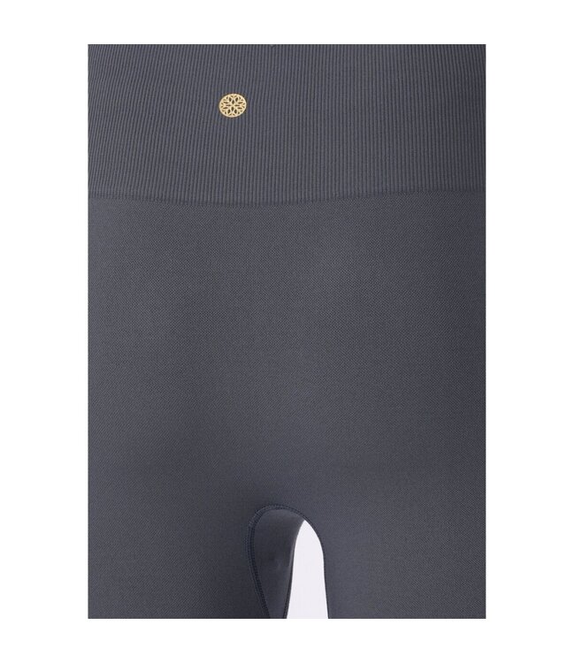 Athlecia Athlecia Nagar W Seamless Shorts Repose Purple