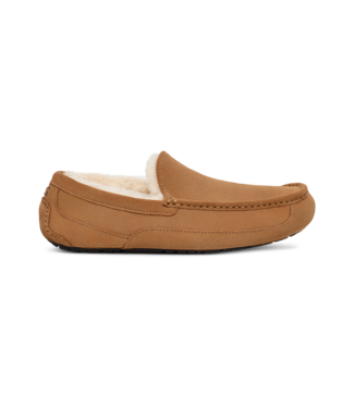 UGG UGG Heren Ascot Chestnut