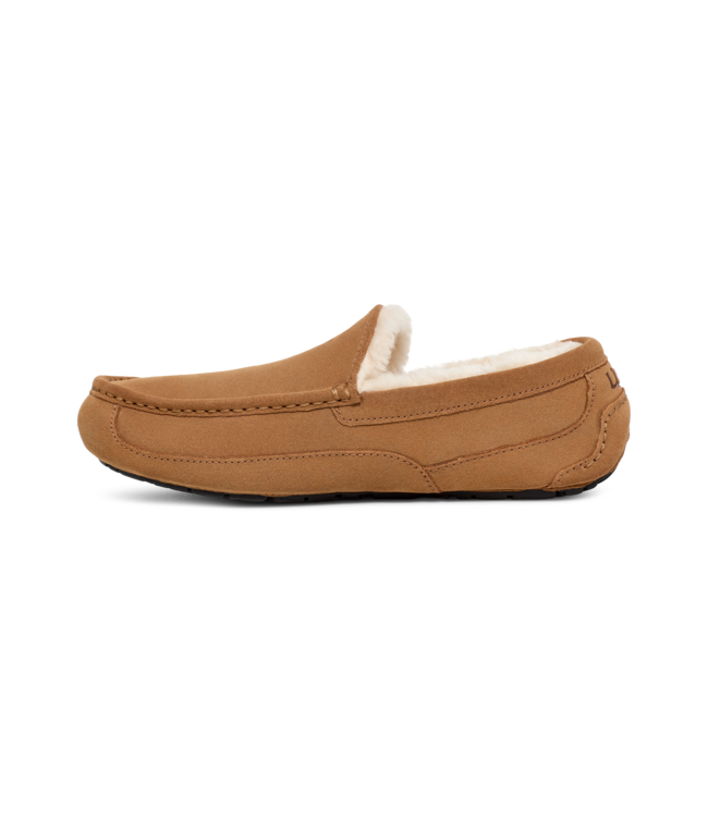 UGG UGG Heren Ascot Chestnut