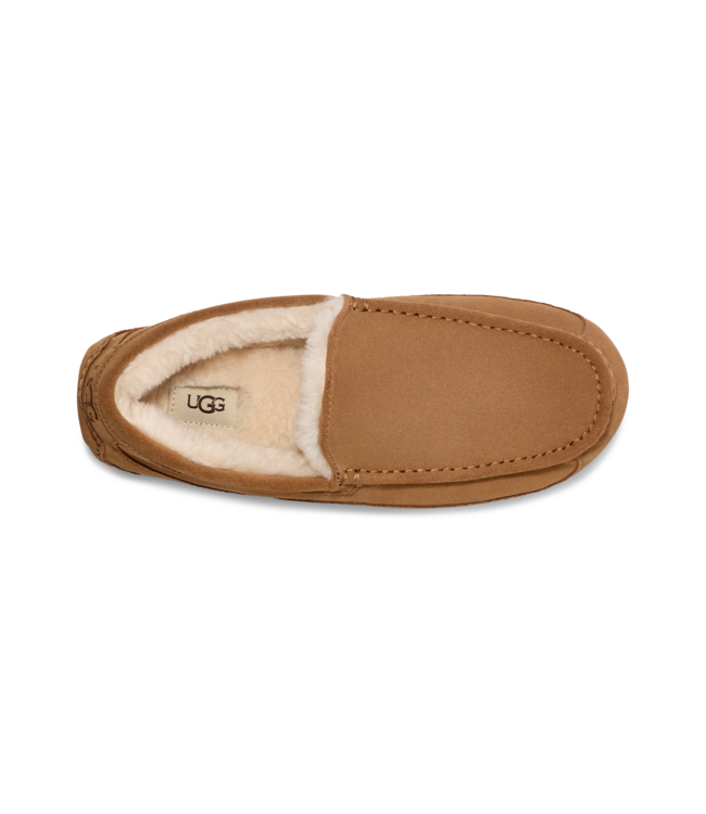 UGG UGG Heren Ascot Chestnut