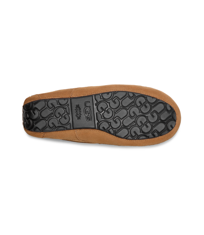 UGG UGG Heren Ascot Chestnut