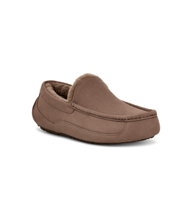 UGG UGG Heren Ascot Caribou