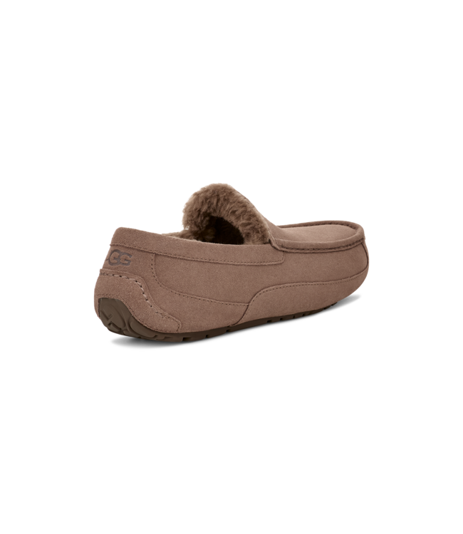 UGG UGG Heren Ascot Caribou