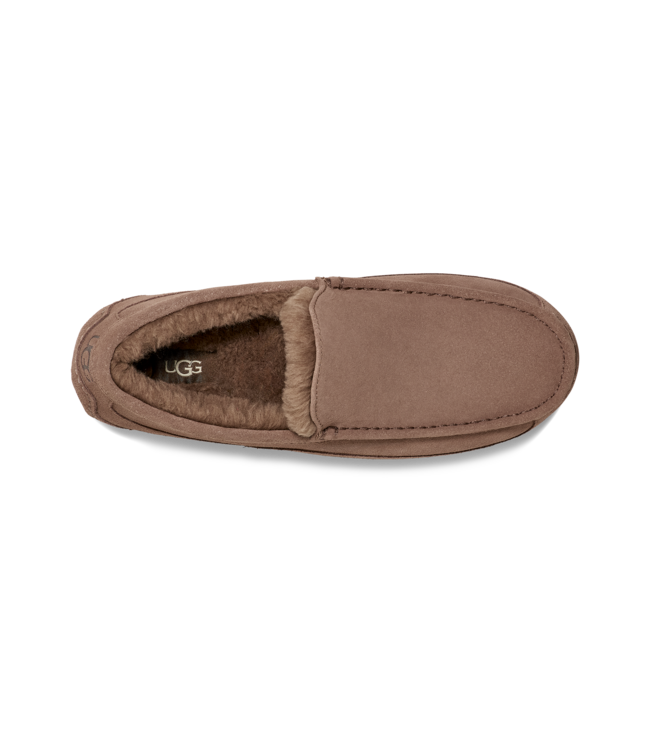UGG UGG Heren Ascot Caribou