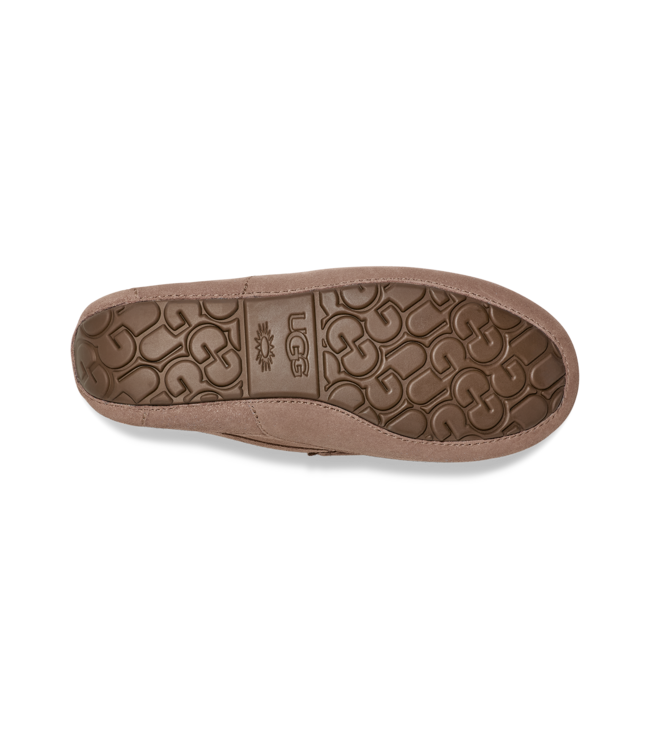 UGG UGG Heren Ascot Caribou