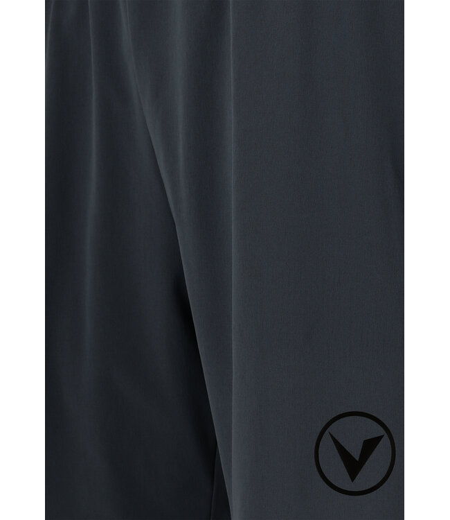 Virtus Virtus Spier Men Shorts Blue Nights
