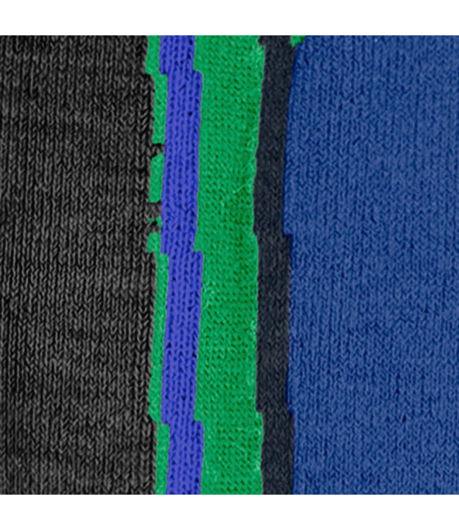 Falke FALKE SK2 Intermediate Heren Green/Blue