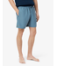 Lacoste Lacoste Heren 1HM1 Swimming Trunks 01 Limestone/Green