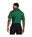 Under Armour Golf Under Armour T2G Polo LB-Classic Green/Black