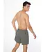 Protest Heren Faster Beachshort Grey Green