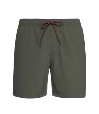 Protest Heren Faster Beachshort Grey Green