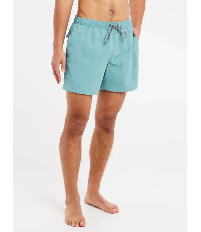 Protest Heren Faster Beachshort Artic Green