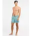 Protest Heren Faster Beachshort Artic Green