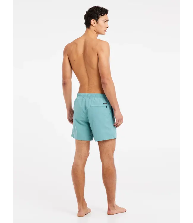 Protest Heren Faster Beachshort Artic Green