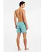 Protest Heren Faster Beachshort Artic Green