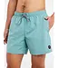 Protest Heren Faster Beachshort Artic Green