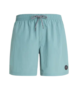 Protest Heren Faster Beachshort Artic Green