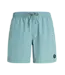 Protest Heren Faster Beachshort Artic Green