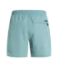 Protest Heren Faster Beachshort Artic Green