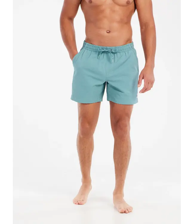 Protest Heren Wytona Beachshort Artic Green