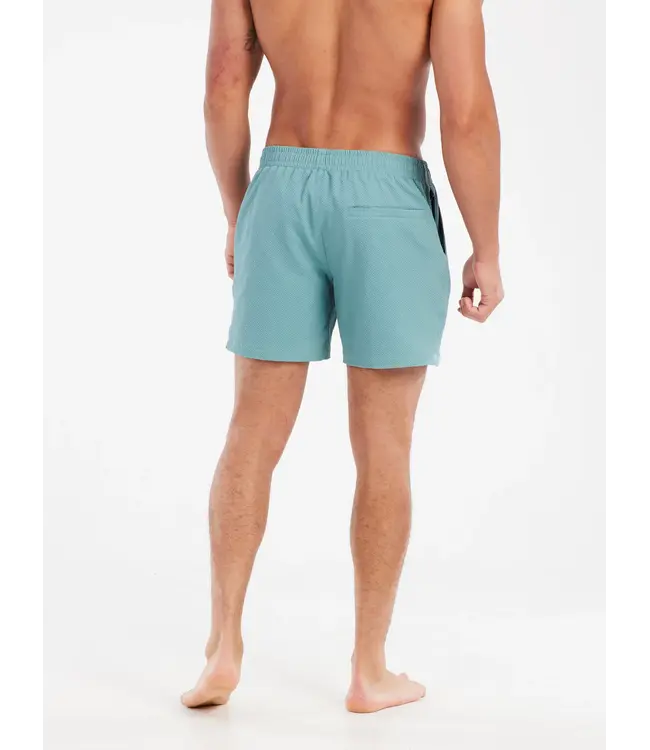 Protest Heren Wytona Beachshort Artic Green