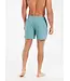 Protest Heren Wytona Beachshort Artic Green