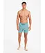 Protest Heren Wytona Beachshort Artic Green