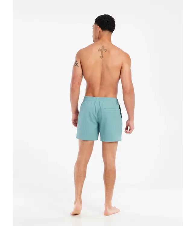 Protest Heren Wytona Beachshort Artic Green